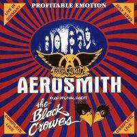 Aerosmith : Profitable Emotion